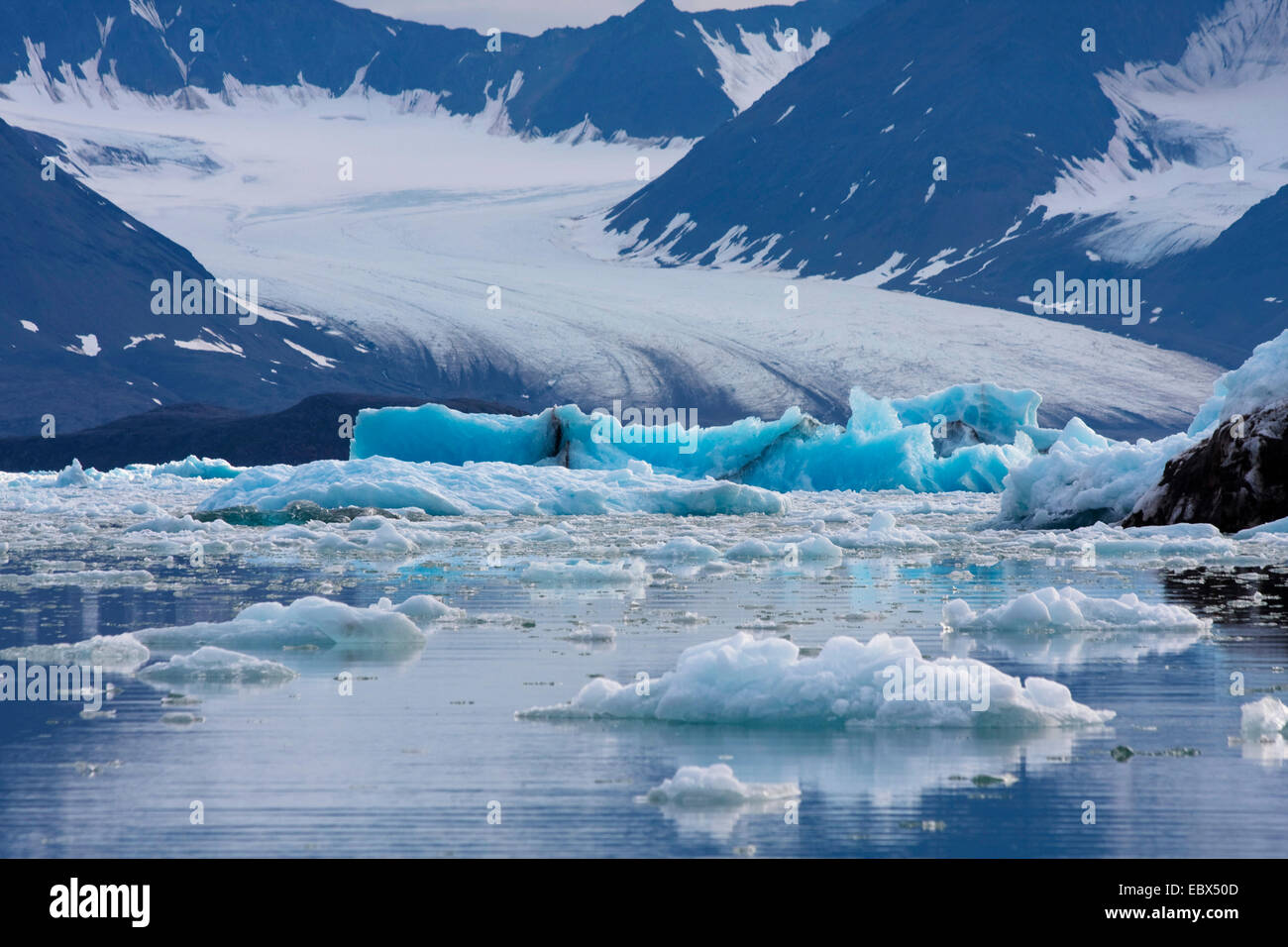 glacier of Feiringfjellet with azur iceberg in foreground, Norway, Svalbard, Kongsfjorden Stock Photo