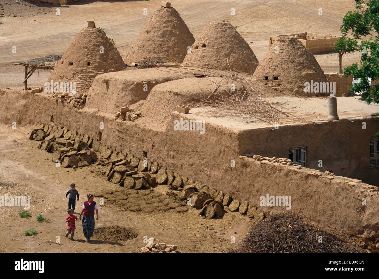 simple village with cone shaped 'beehive houses', Turkey, Harran bei Urfa Stock Photo