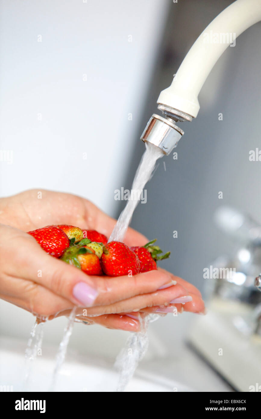 Woman washing some fresh strawberries on the sink Stock Photo