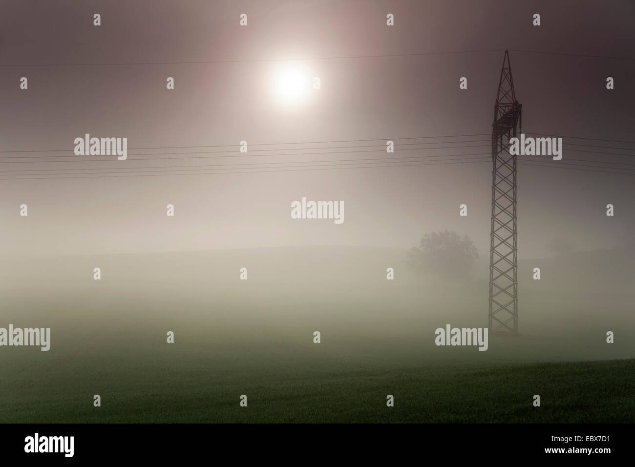 rising sun breaking through morning fog over a meadow landscape with a high-voltage line, Germany, Saxony, Vogtlaendische Schweiz Stock Photo