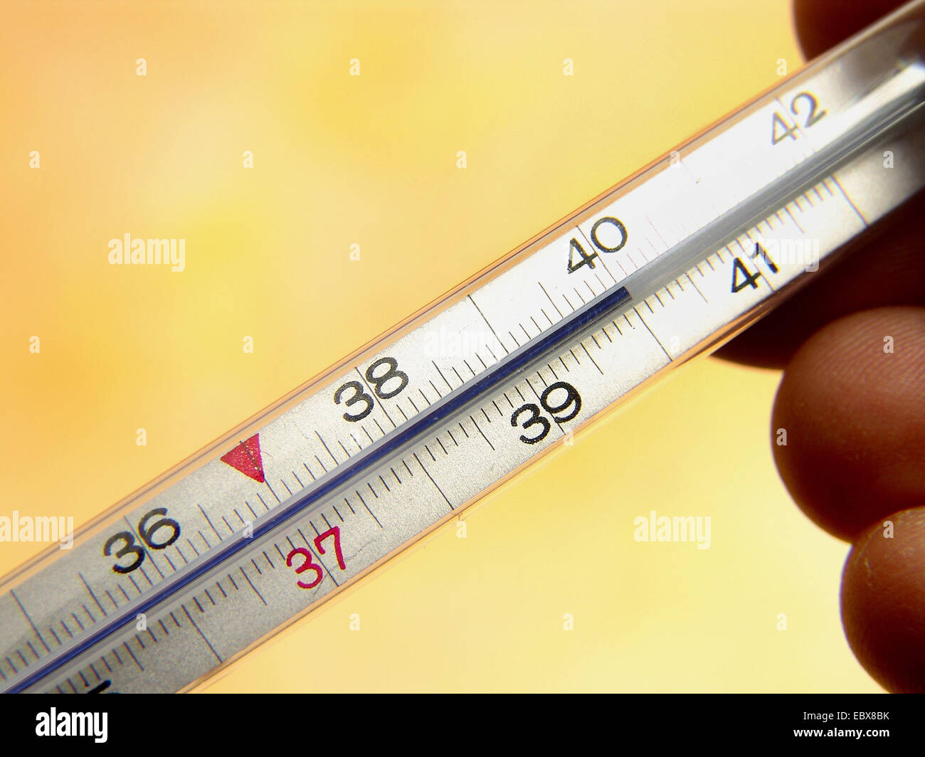 Fever thermometer indicates 40 degrees Celsius Stock Photo