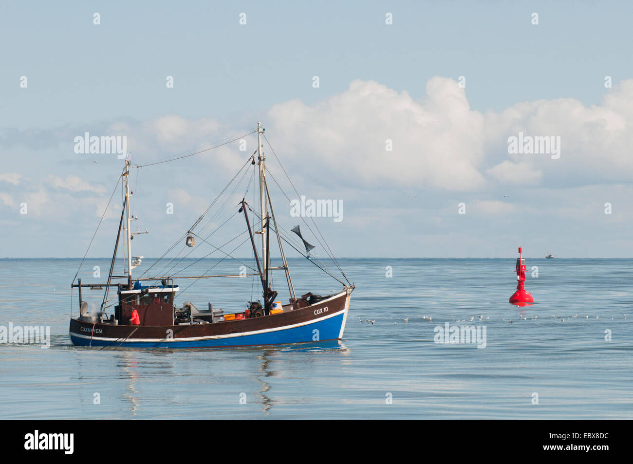 shrimp cutter fishing in the North Sea, Germany, Schleswig-Holstein Stock Photo