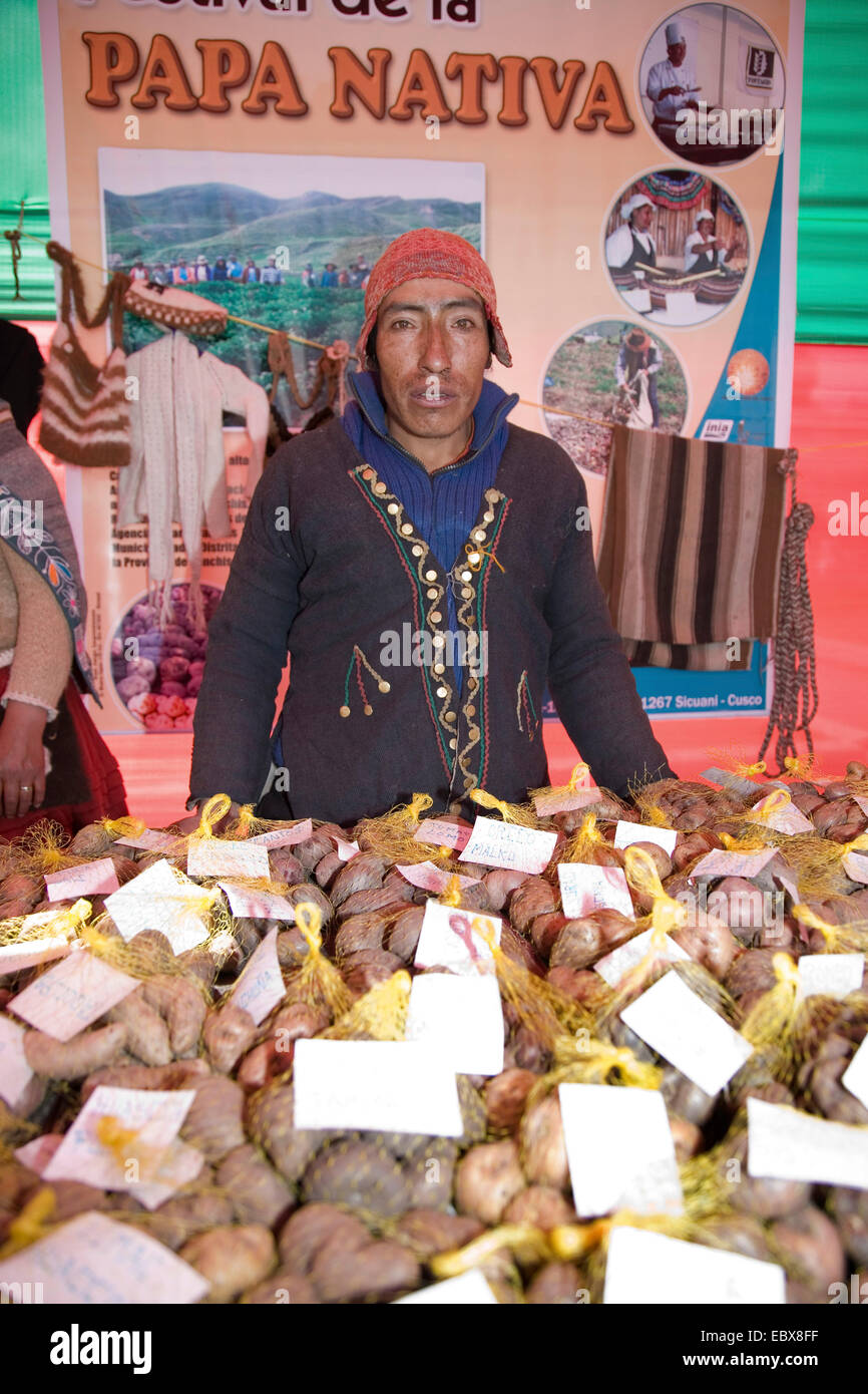 greengrocer at the market selling native potatoes, Peru, Cuzco Stock Photo