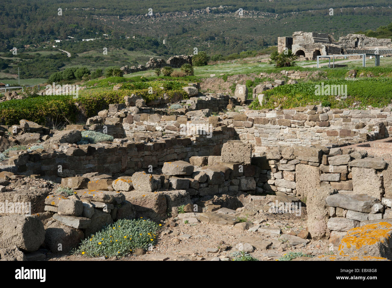 Roman ruins of Baelo Claudia, Bolonia, Andalucia, Spain. Stock Photo