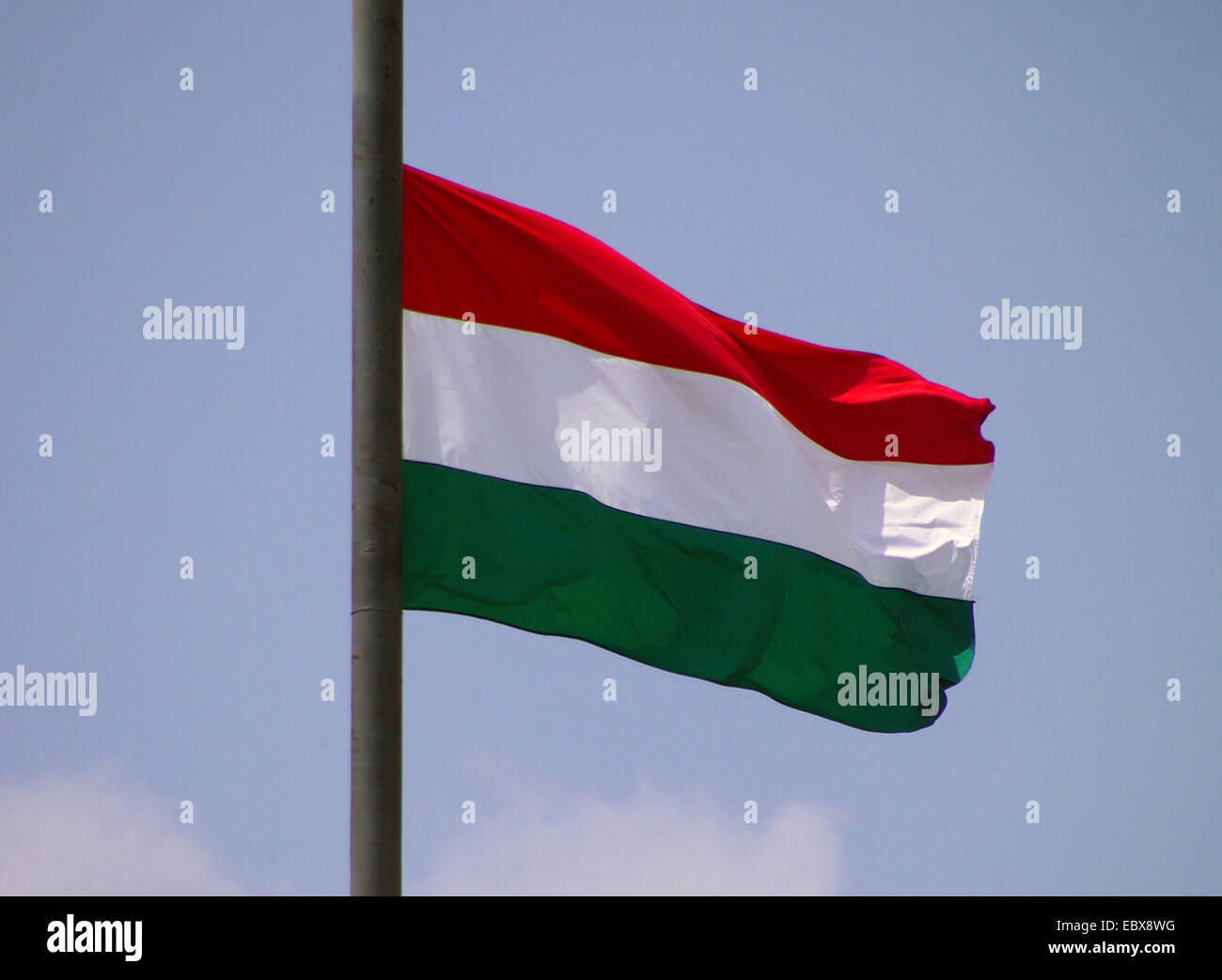 Hungarian flag, Hungary Stock Photo