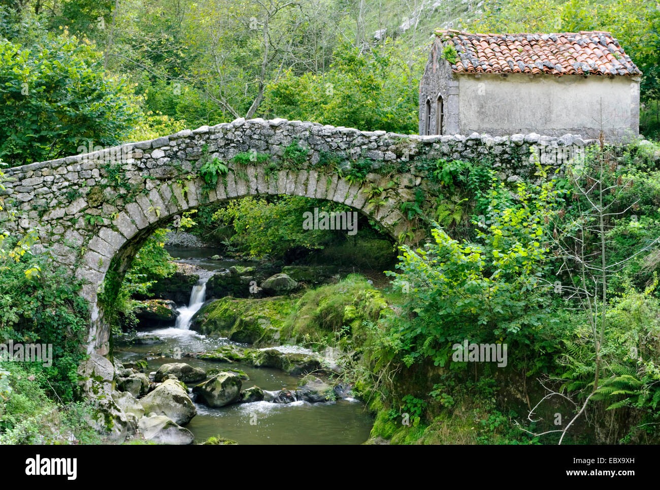 Bridge and house over Duje river, Spain, Asturias, Picos De Europa National Park Stock Photo