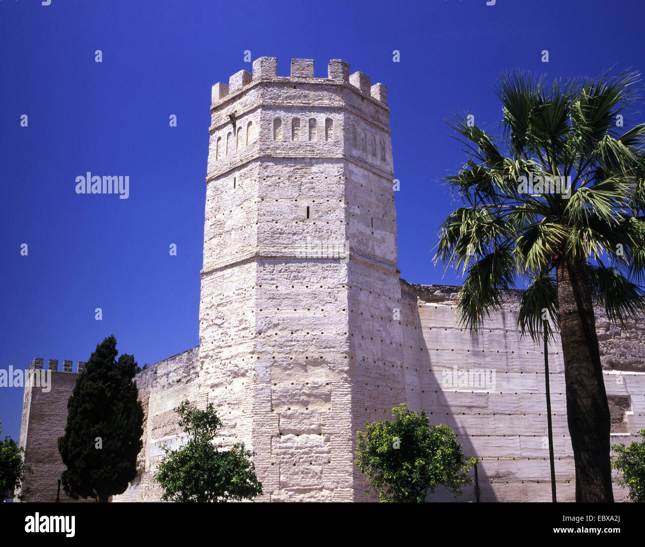 Alkazar with tower and palm, Spain, Andalusia, Jerez Stock Photo