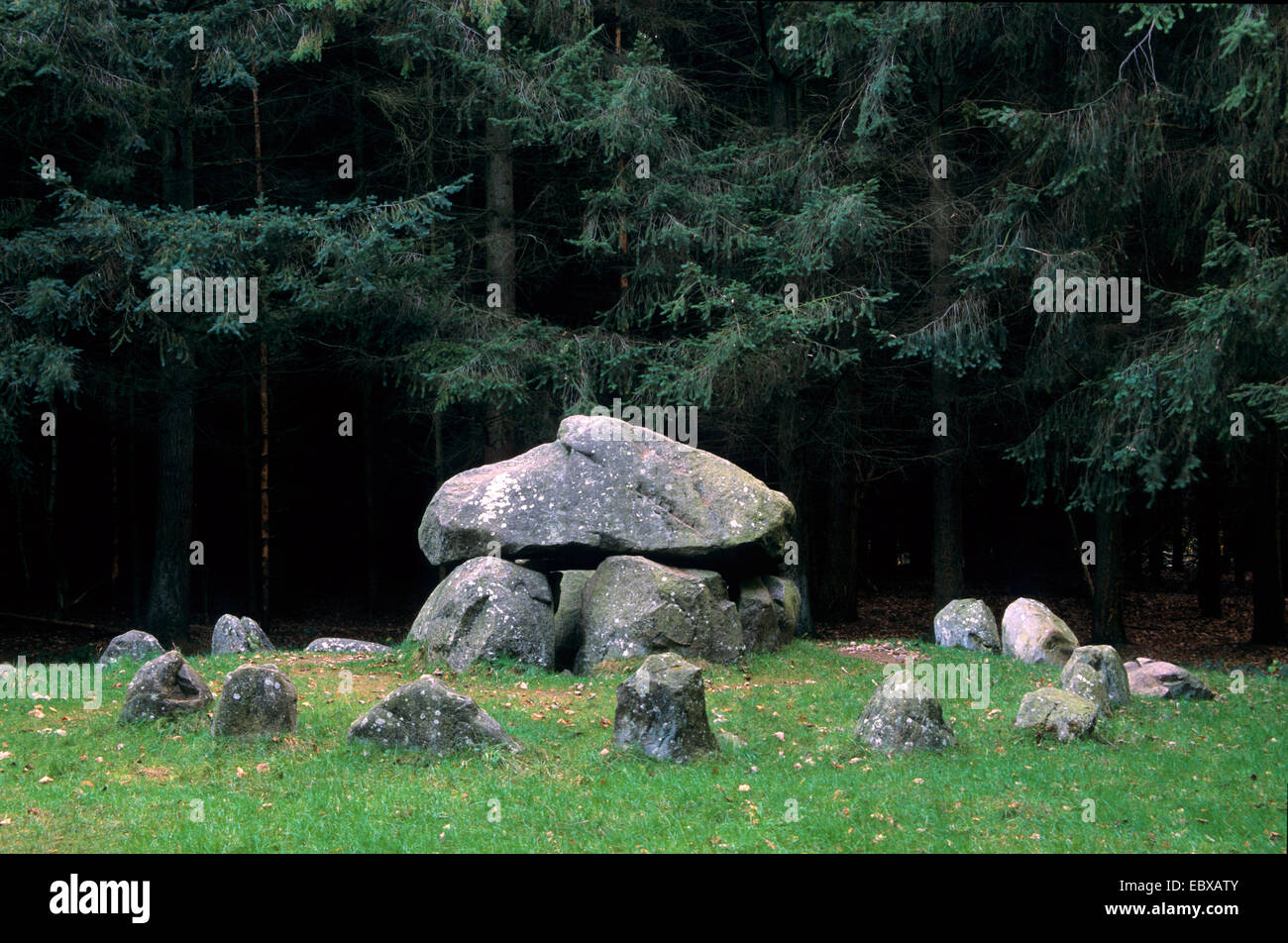 Megalithic grave by Grevesmuehlen, Devils baking oven, Germany, Mecklenburg-Western Pomerania Stock Photo