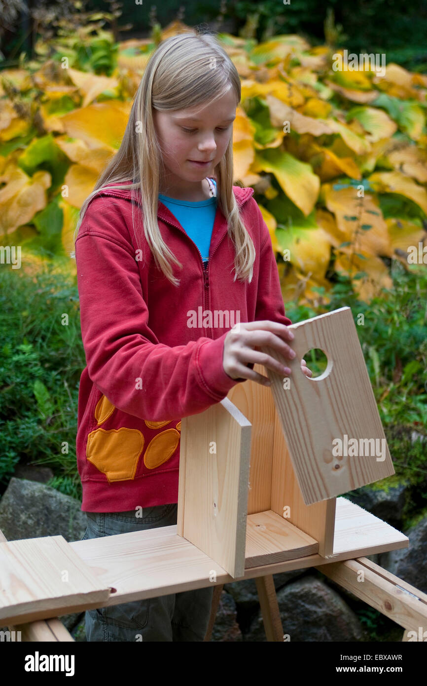 building a nest box. Girl putting the parts together Stock Photo