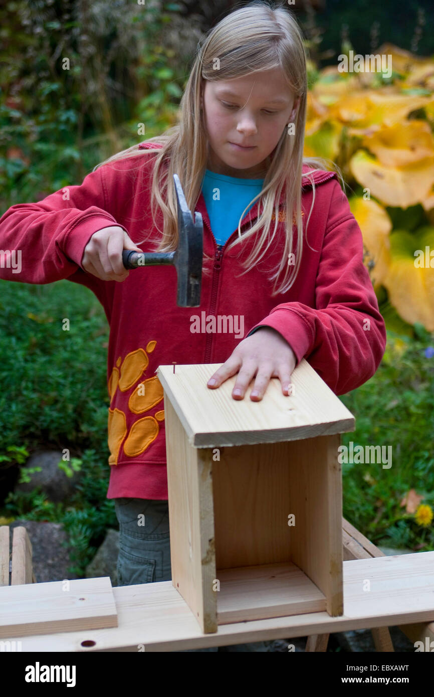 building a nest box. Girl putting the parts together with a hammer Stock Photo