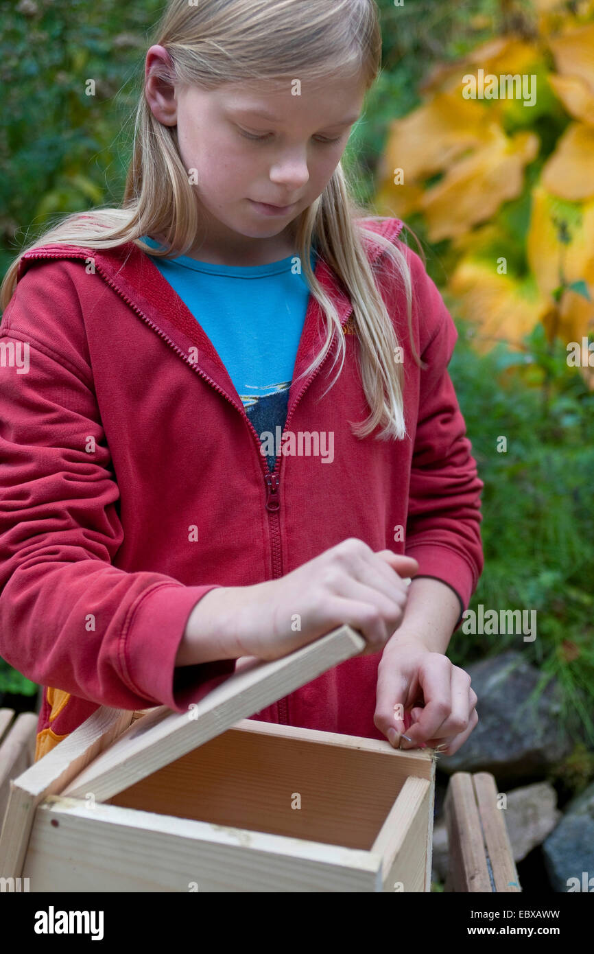 building a nest box. Girl putting the parts together Stock Photo