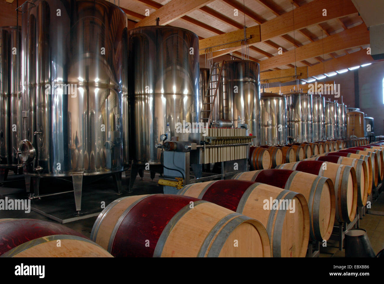 cellar of a winery, oak barrels and steal tanks, Germany, Rhineland-Palatinate, Palatinate, Laumersheim Stock Photo