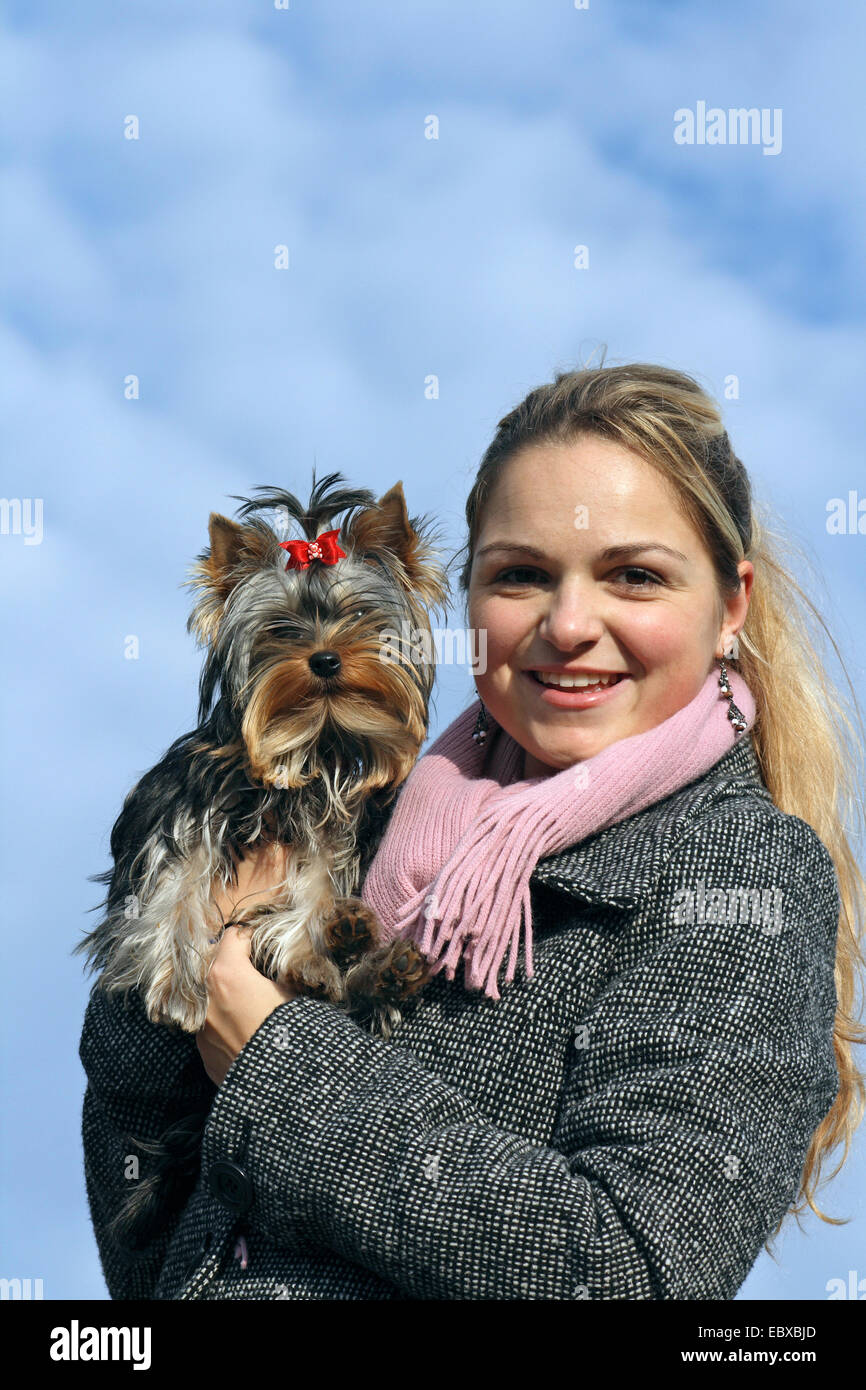 Yorkshire Terrier (Canis lupus f. familiaris), young woman holding her seven month old Yorkshire Terrier in her arms Stock Photo