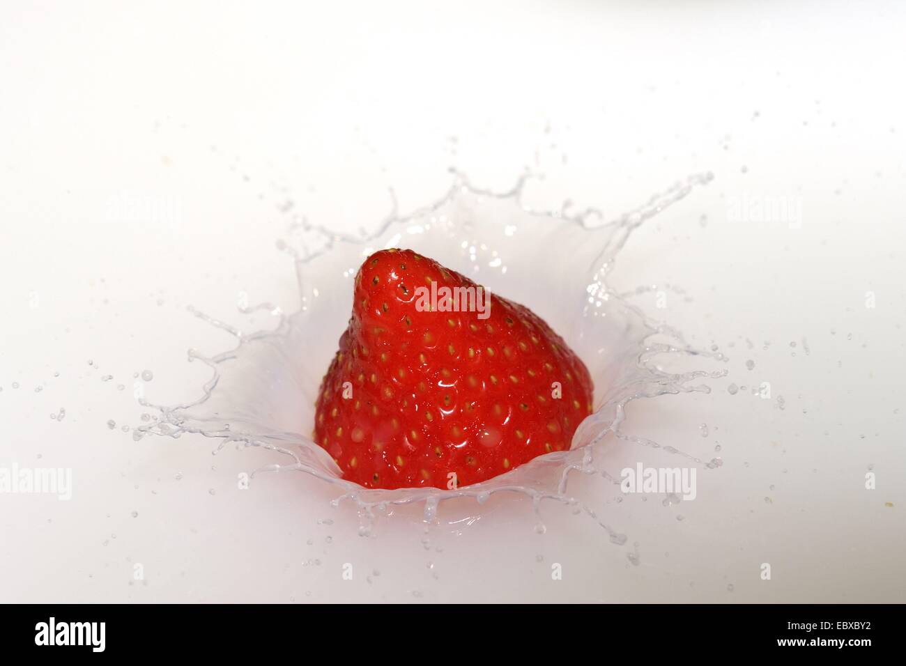 strawberry falling into milk Stock Photo
