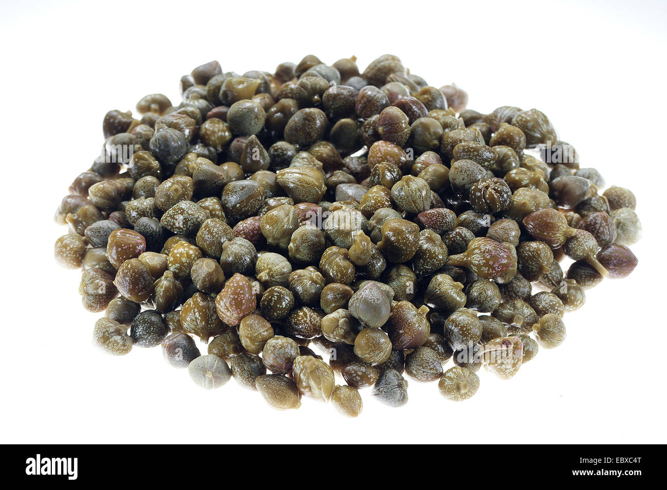 caper, alcaperro, caper berry, caper bud, caper bush, caper fruit