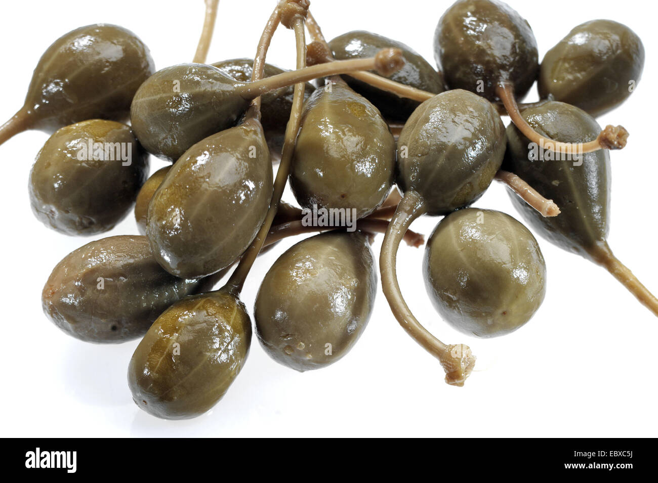 caper, alcaperro, caper berry, caper bud, caper bush, caper fruit