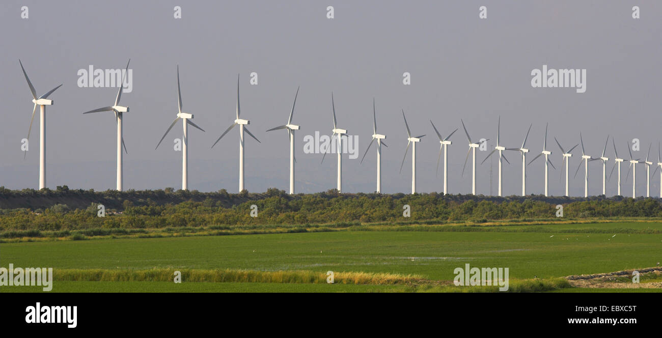 windpark in the Camargue, France, Camargue Stock Photo