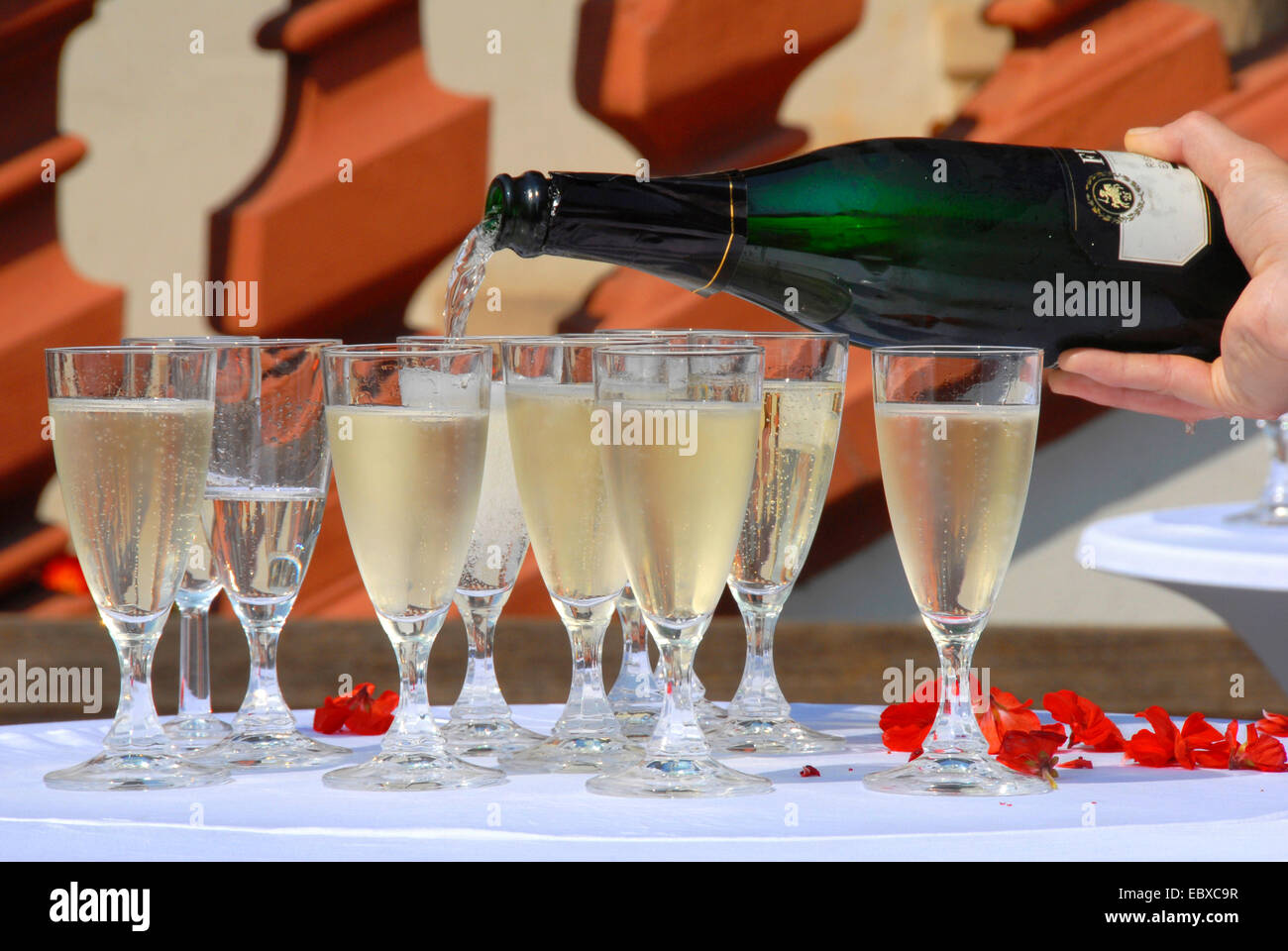 sparkling wine is being poured into glasses, Germany, Rhineland-Palatinate Stock Photo