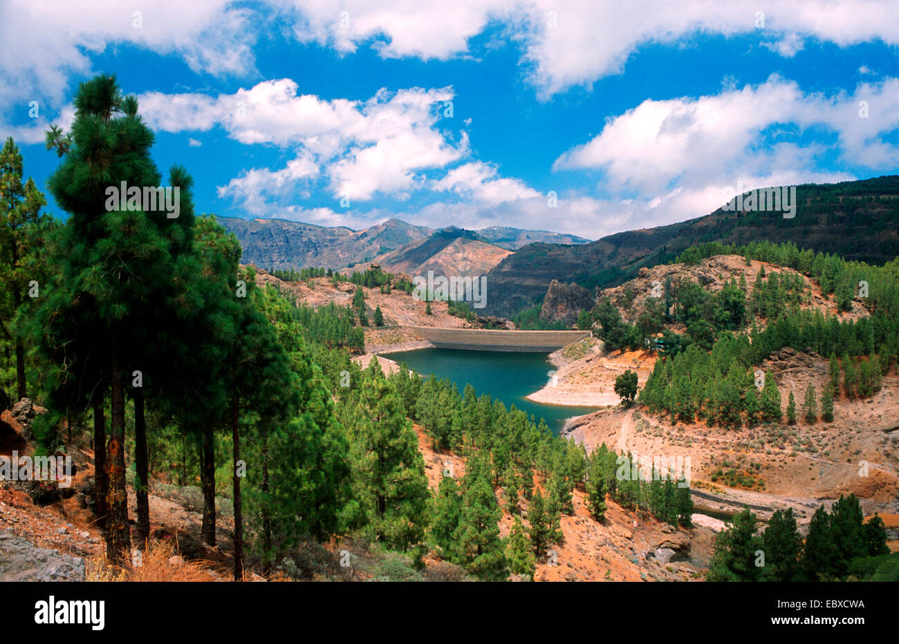 Reservoir Presa de los Hornos, Canary Islands, Gran Canaria Stock Photo