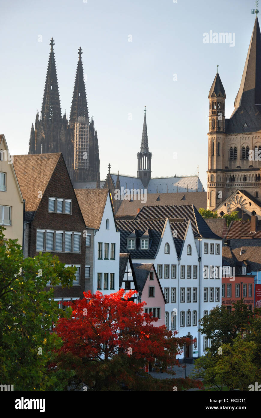 buildings in old town, Cologne Cathedral in background, Great St. Martin Church to the right, Germany, North Rhine-Westphalia, Koeln Stock Photo