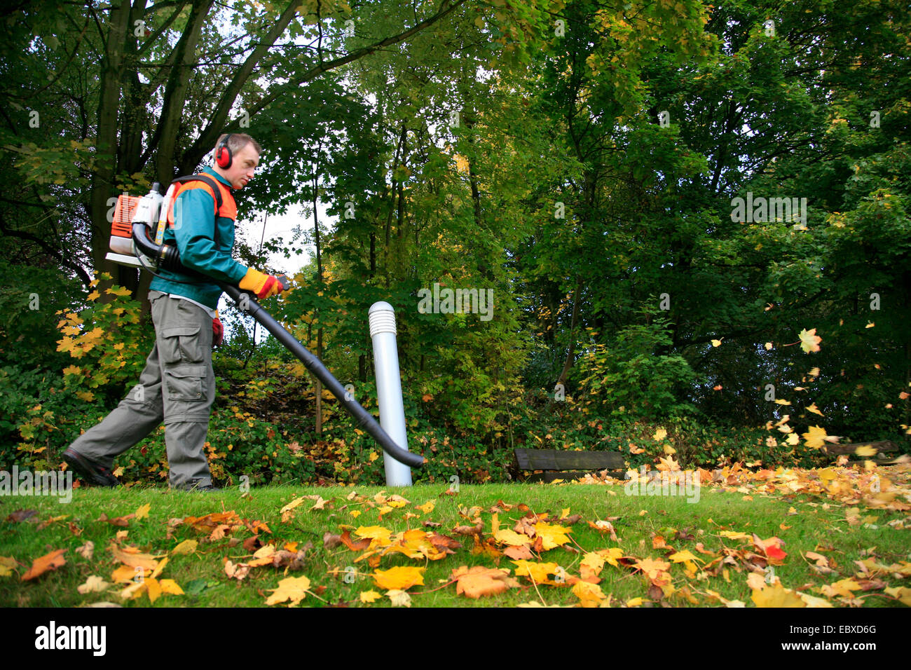 gardener working with leaf blower, Germany Stock Photo Alamy
