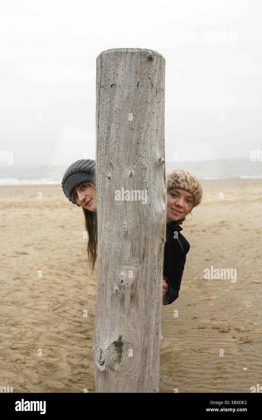 two young women hiding behind wooden post of groyne, Netherlands, Zeeland, Breskens, Sluis Stock Photo