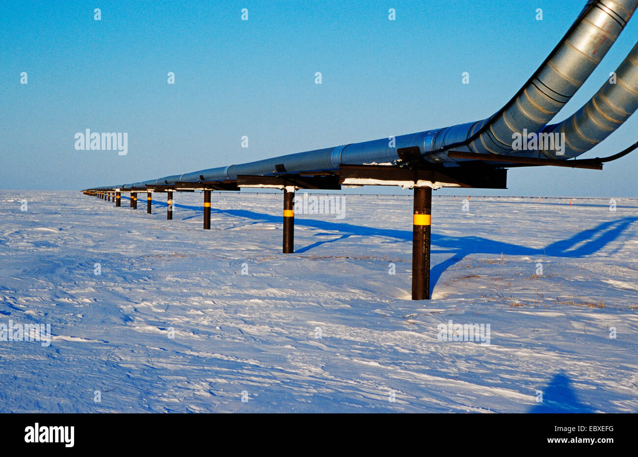 Trans-Alaska Pipeline System, USA, Alaska, Prudhoe Bay Stock Photo