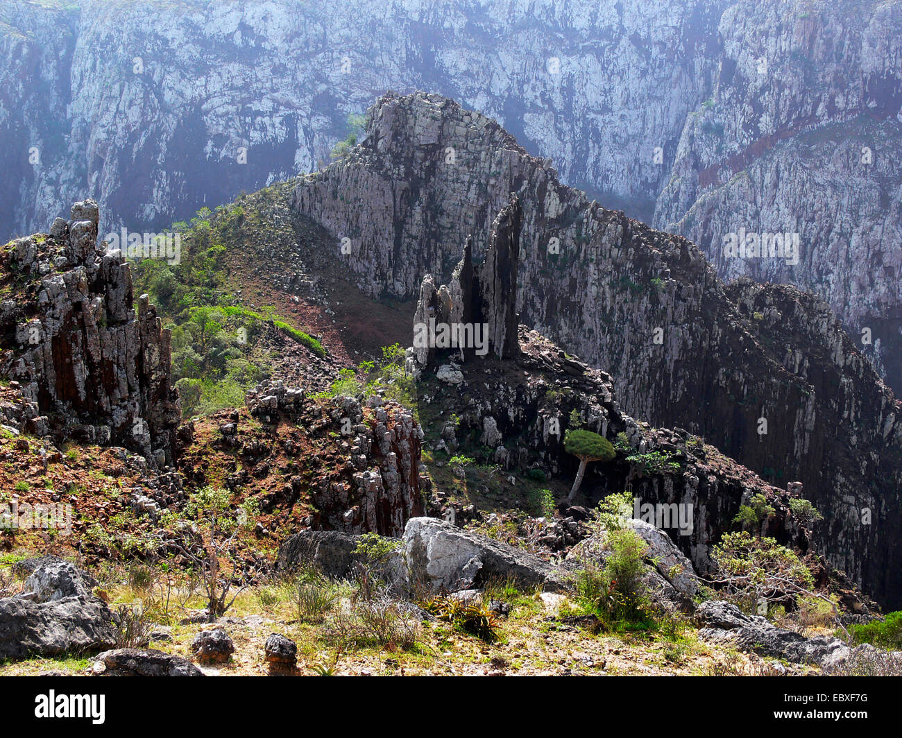 rocky landscape on Socotra, Yemen, Socotra Stock Photo