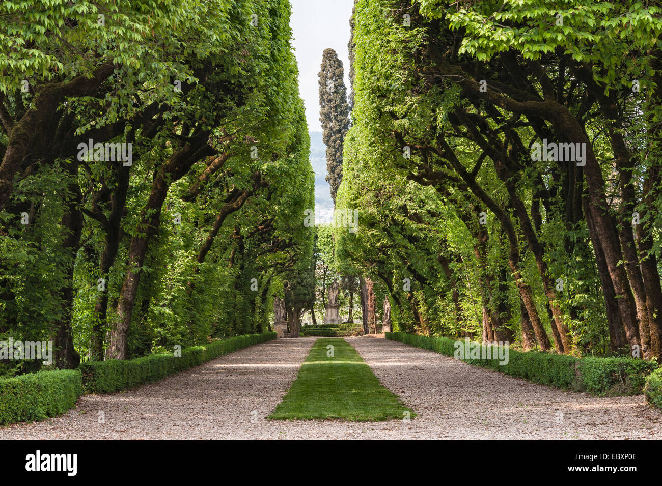 Villa Rizzardi Villa Rizzardi (Giardino di Pojega), Negrar, Italy. A long shady avenue ...