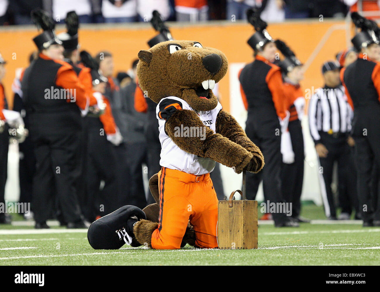 November 29, 2014: Benny the Beaver is set to launch off some fireworks ...