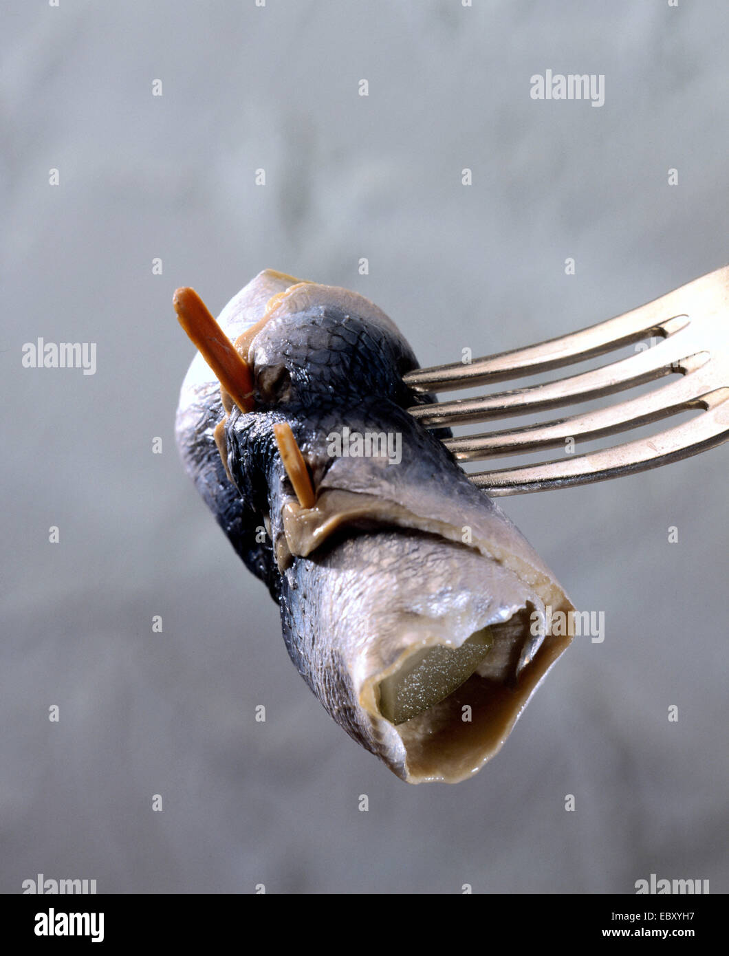 herring, Atlantic herring (digby, mattie, slid, yawling, sea herring) (Clupea harengus), rollmops on a fork Stock Photo