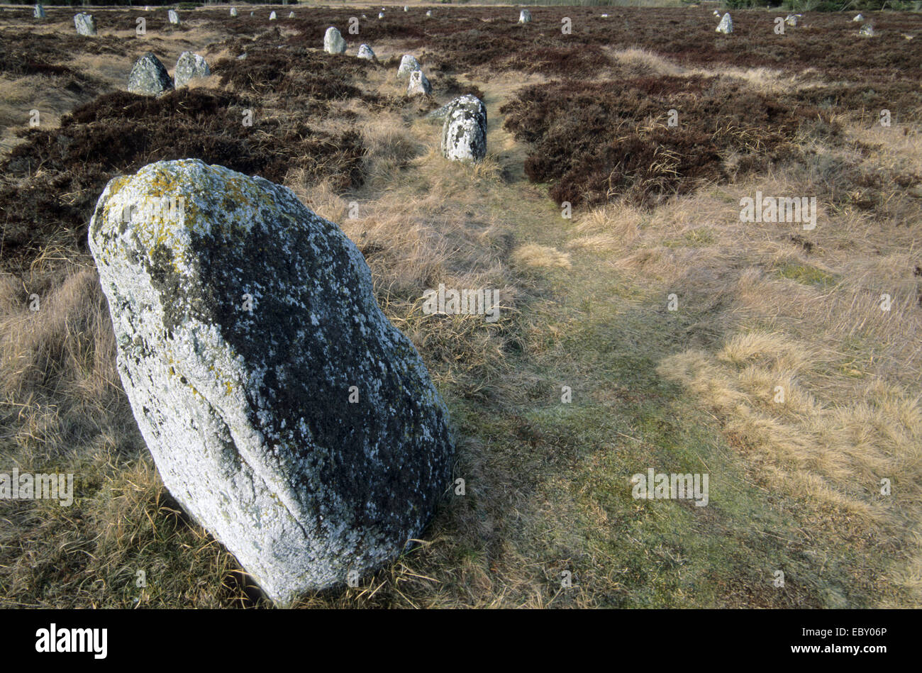 Viking grave hires stock photography and images Alamy