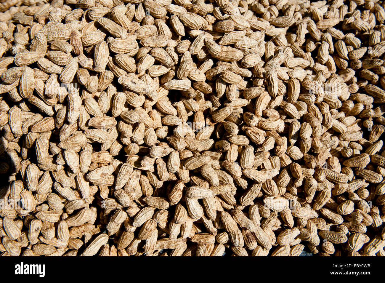 Peanuts for sale, Honiara, Solomon Islands Stock Photo
