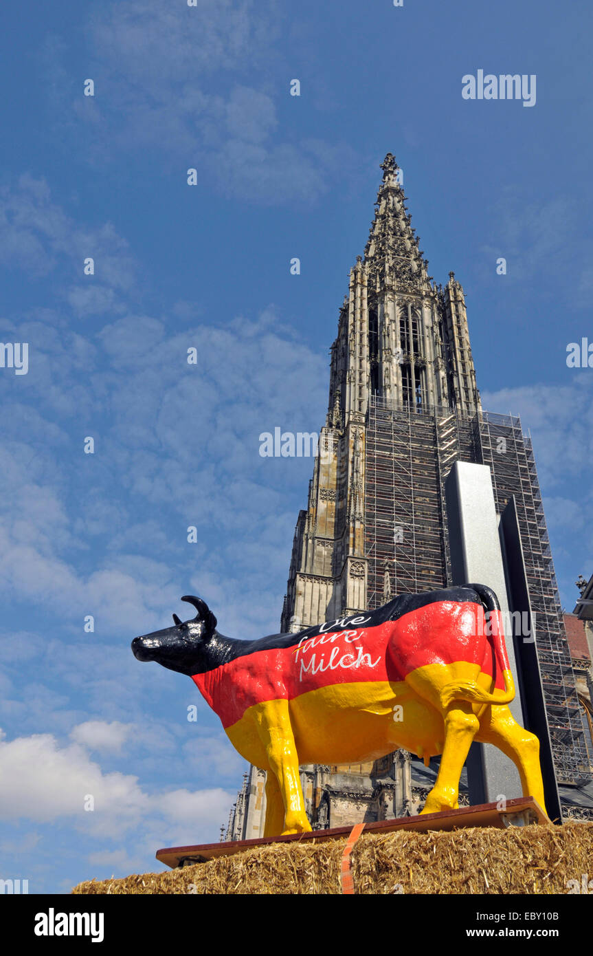 protest of dairy farmers with a artifical cow for higher milk prices, Ulmer Munster, Ulm cathedral, in the background, Germany, Baden-Wuerttemberg, Ulm Stock Photo