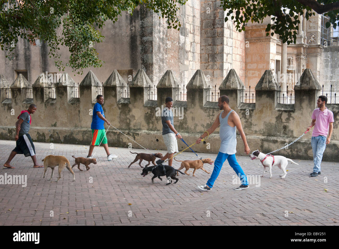 Dominikanische Republik, Santo Domingo, Zona Colonial, Zona Colonial, Parque Colon, Hundehalter vor der Nordwestseite der Basili Stock Photo