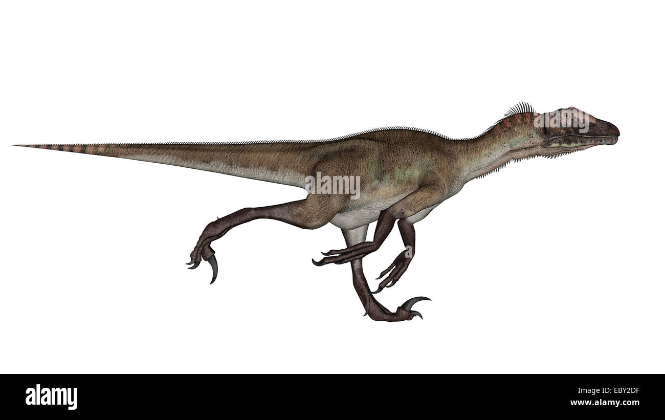 Dino run hi-res stock photography and images - Page 4 - Alamy