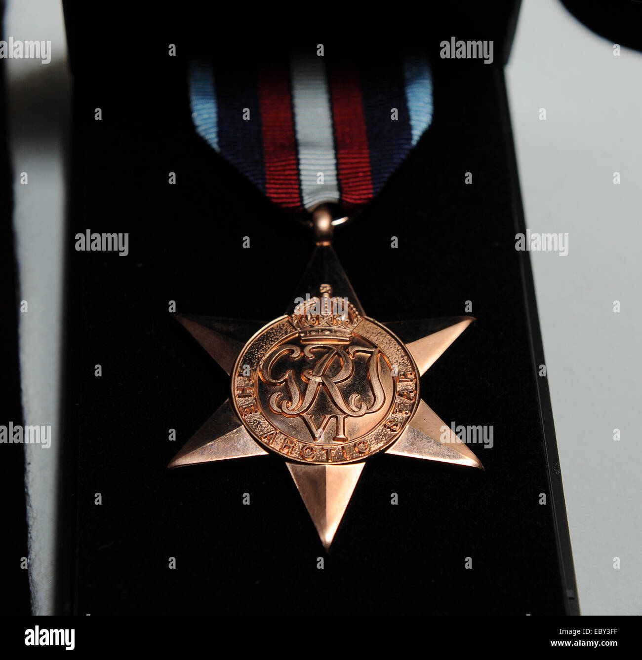 The Arctic star campaign medal Stock Photo