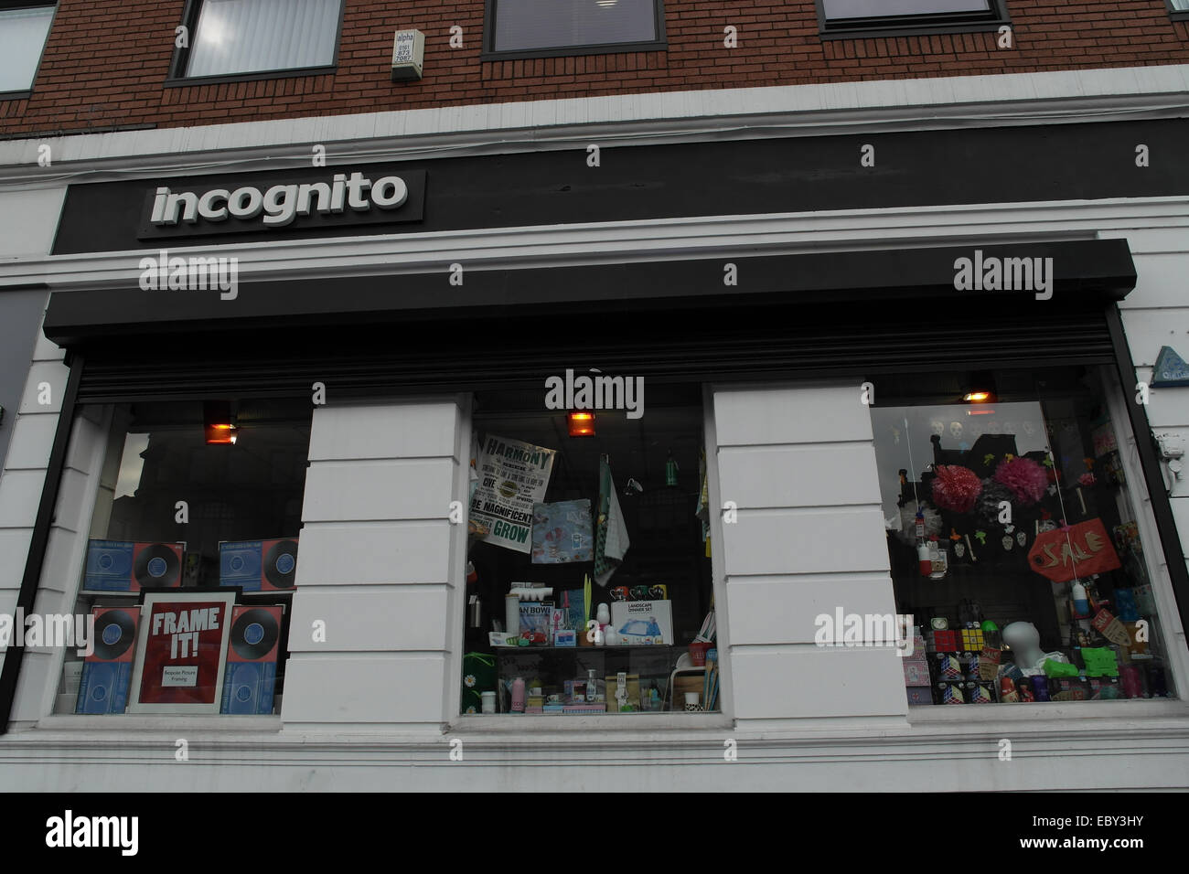 Shop front with three windows displaying film cameras, gifts, bags
