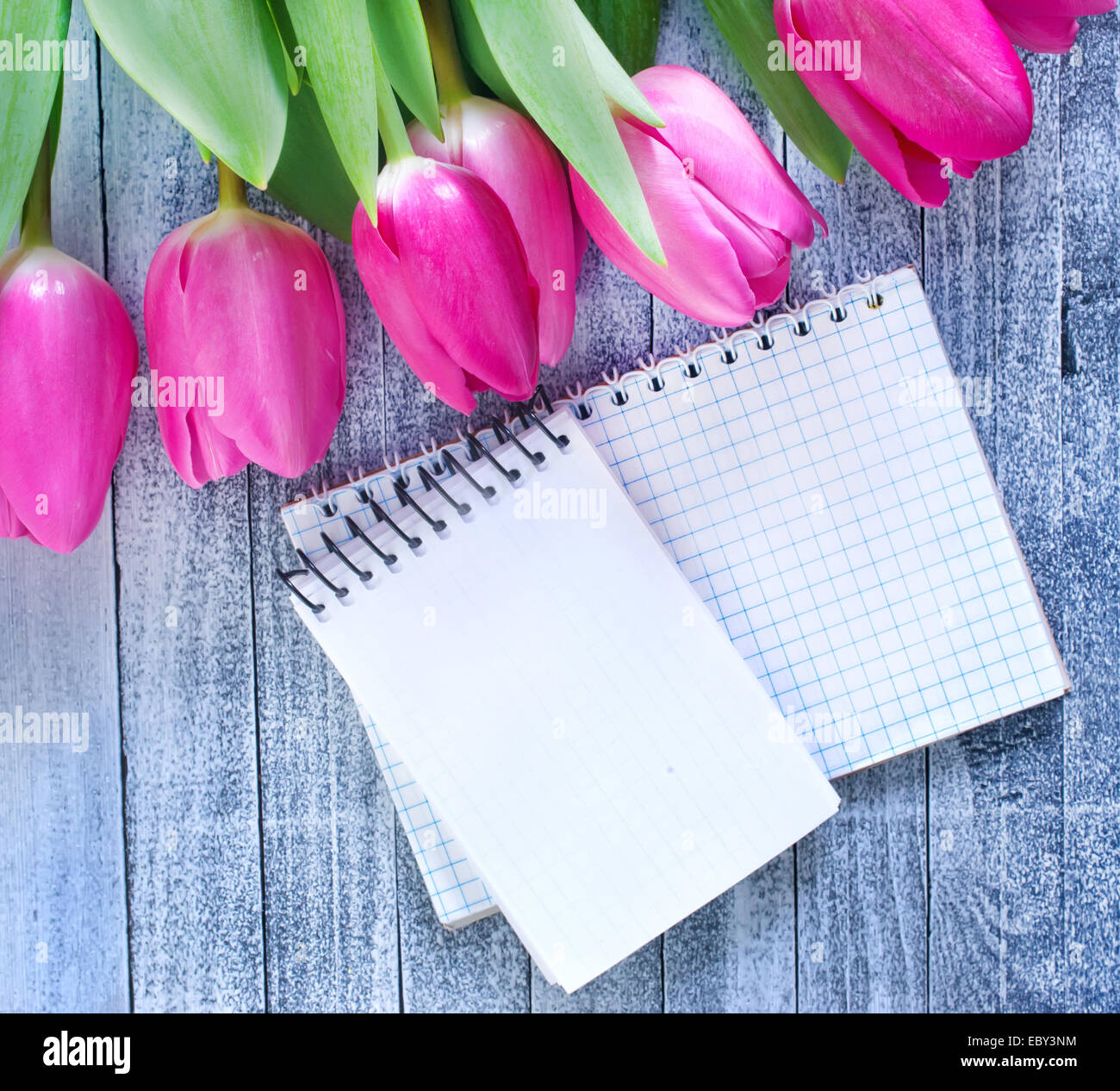 Thank you note for stock options