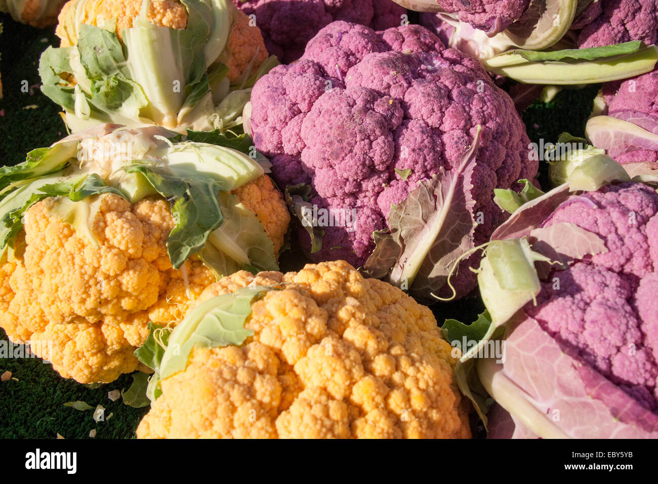 Yellow and purple cauliflower at the farmers' market at Brooklyn's Grand Army Plaza. Stock Photo