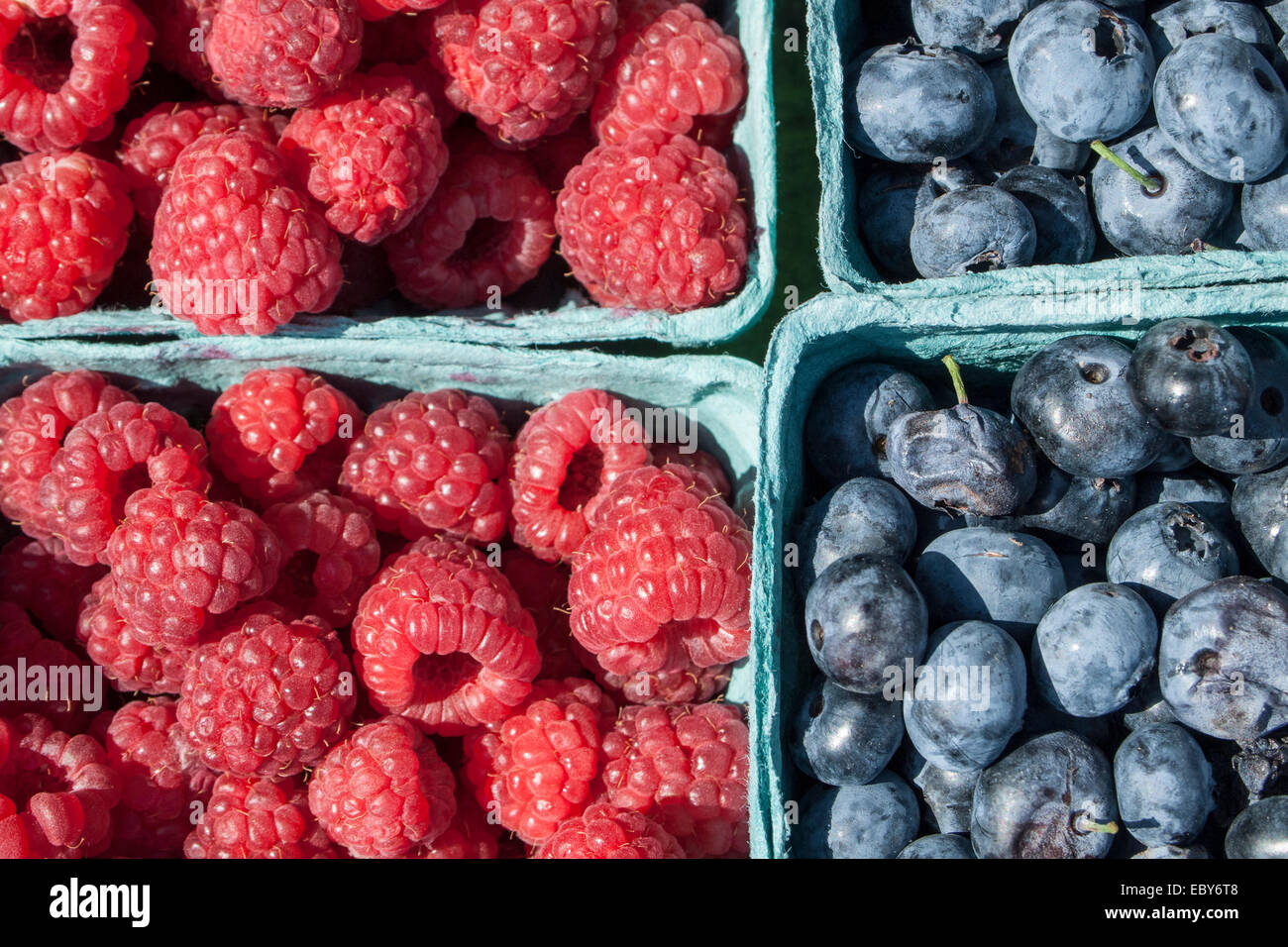 Blueberries and red raspberries for sale at Brooklyn's Grand Army Plaza