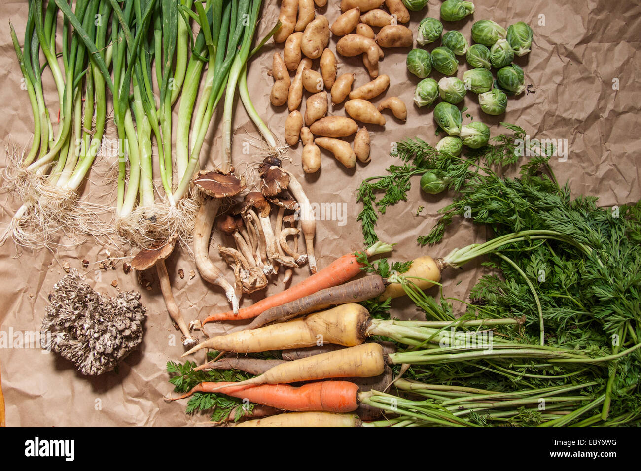Scallions, carrots, potatoes, brussels sprouts and mushrooms from the farmers' market at Brooklyn's Grand Army Plaza. Stock Photo