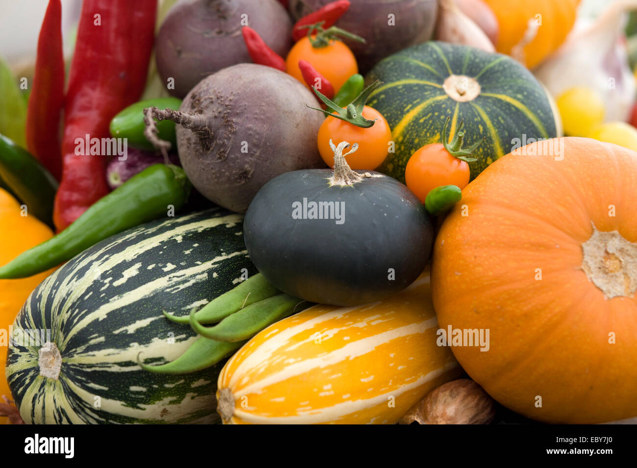 Vegetable Harvest Basket Stock Photo Alamy