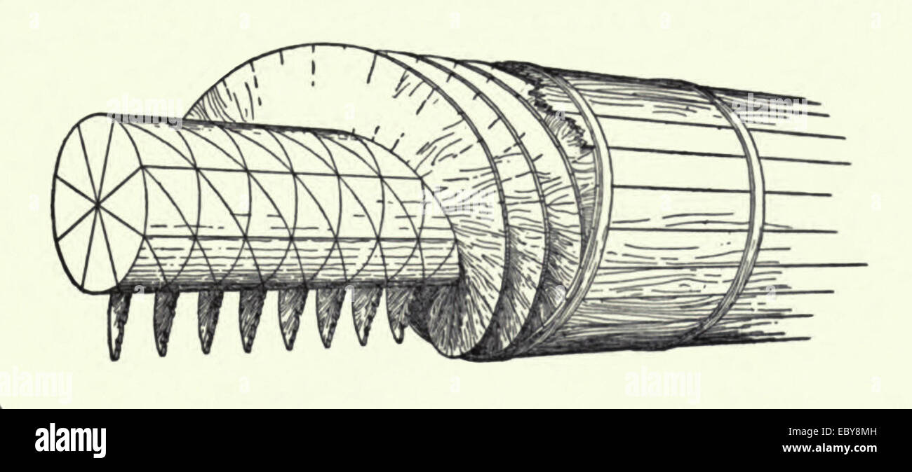 Cutaway line drawing showing the workings of a water screw. Image shows central beam divided into 8 parts, then wood is fixed around the entire length at equal distances forming a spiral channel. Finally, an outer casing is fixed around the spiral. When the beam is rotated and fixed at the correct angle water is drawn up the spiral and out of the top. The screw pump is commonly attributed to Archimedes on the occasion of his visit to Egypt. See description for more information. Stock Photo