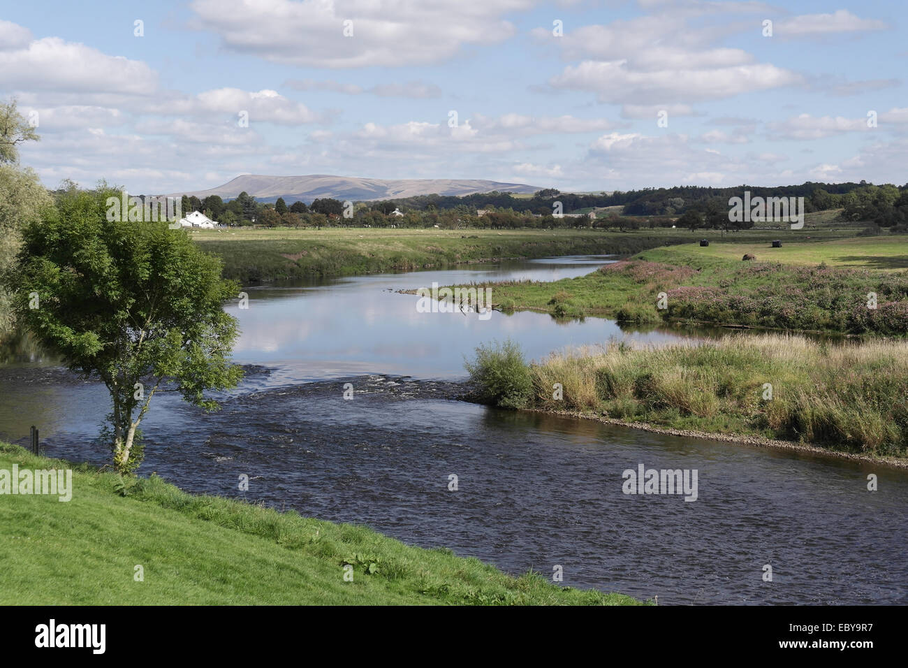 Blue sky white clouds view to Pendle Hill River Ribble with weir and ...