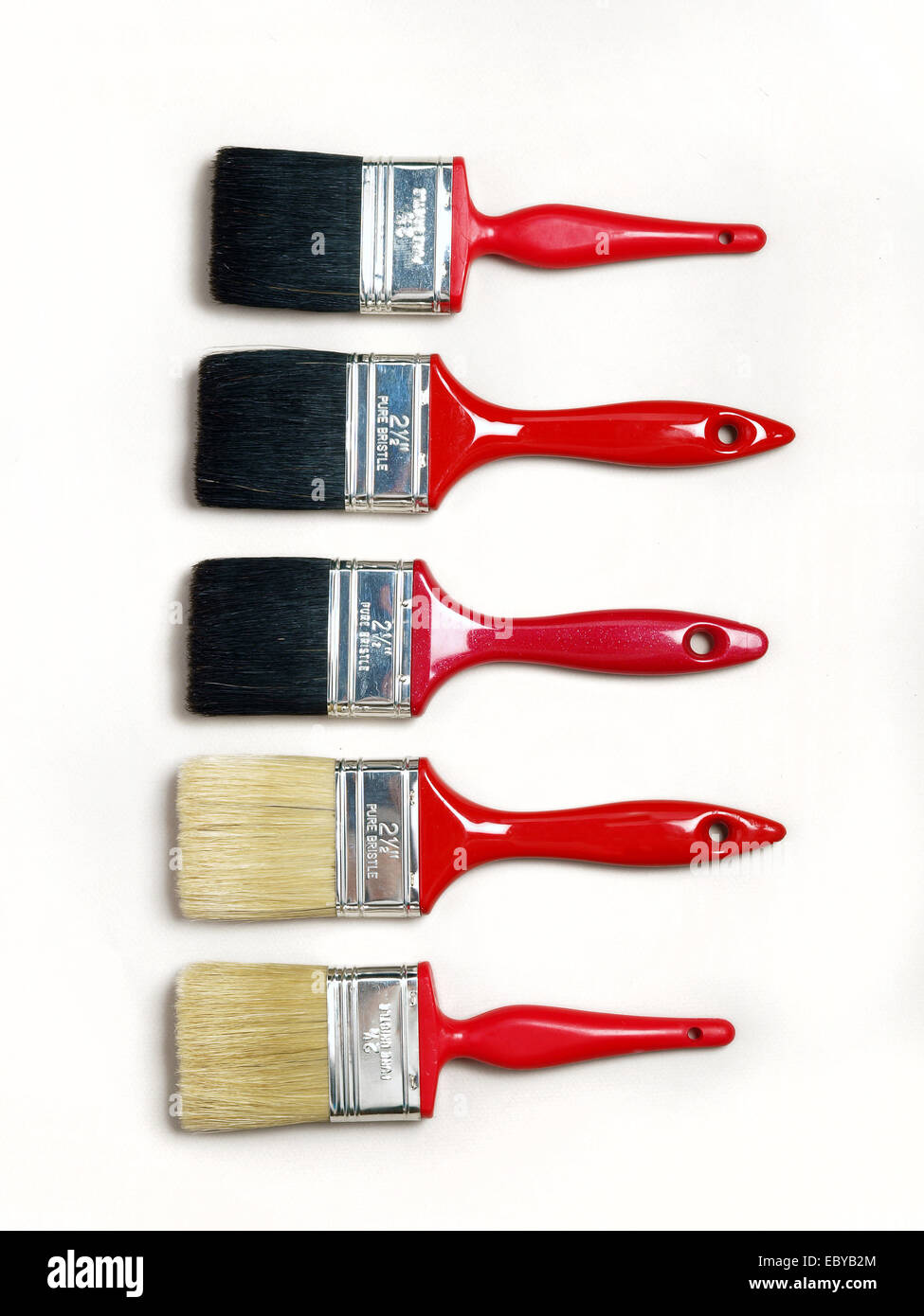 Five painting brushes with plastic handles Stock Photo Alamy