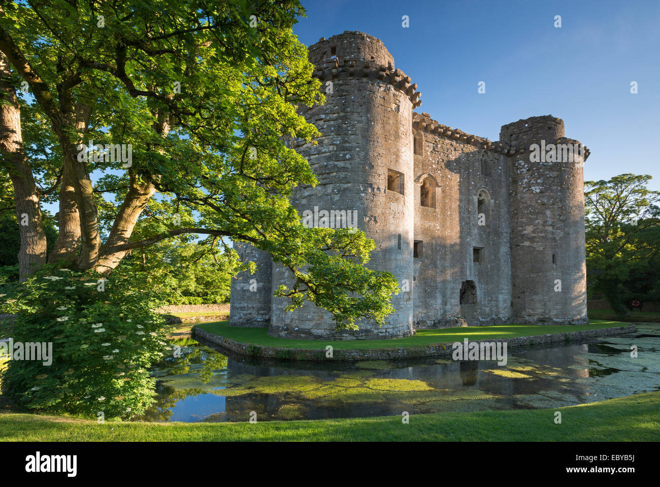 Nunney Castle and moat in the village of Nunney, Somerset, England. Summer (June) 2014. Stock Photo