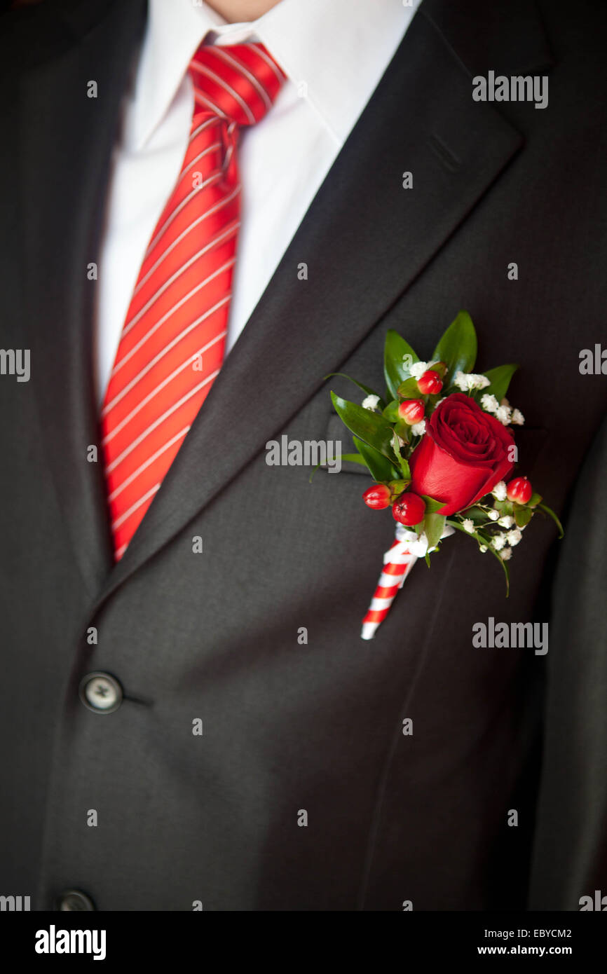 groom's suit close up with a striped tie and buttonhole Stock Photo - Alamy