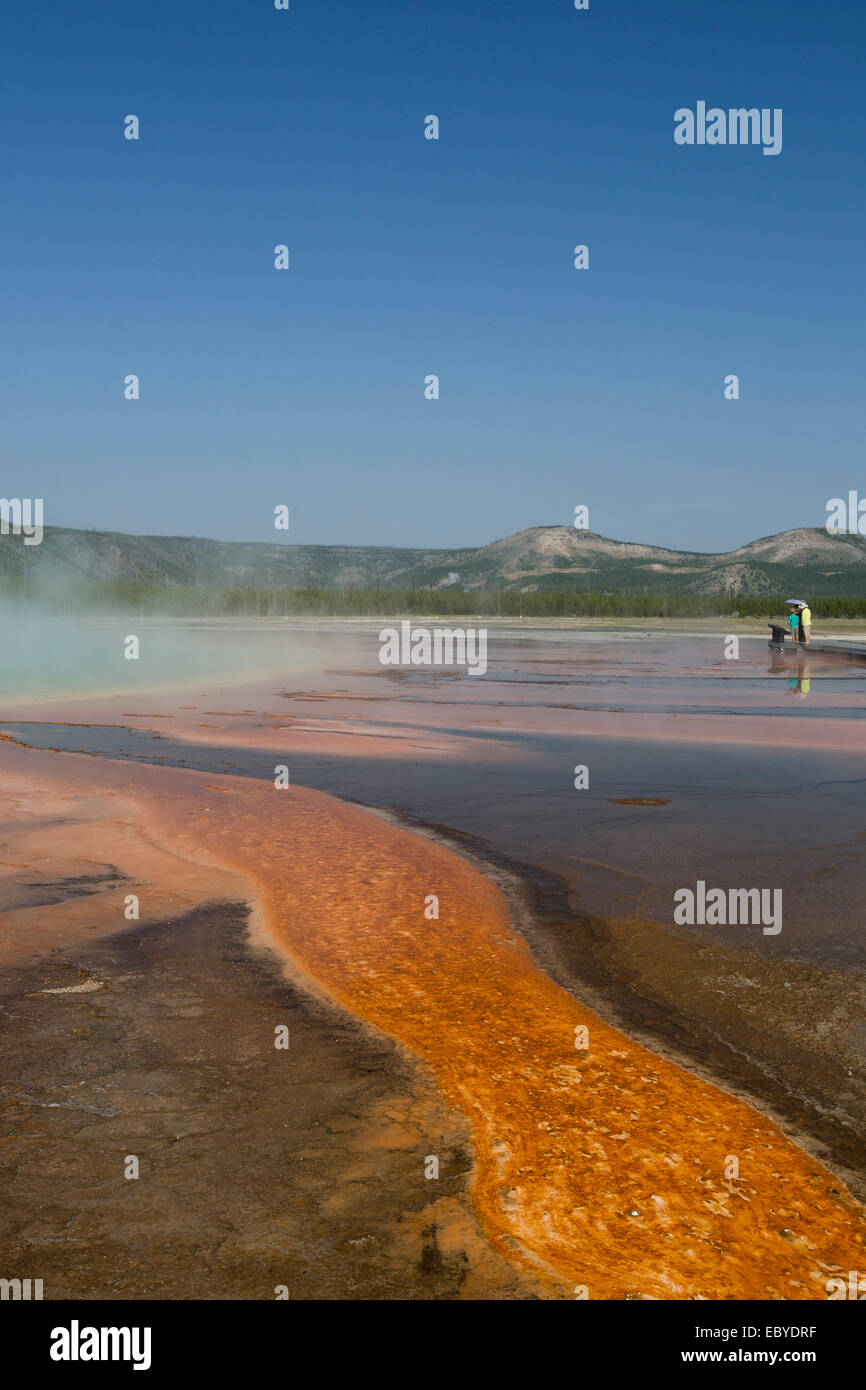 USA, Wyoming, Yellowstone National Park, Midway Geyser Basin, Grand Prismatic Pool, pool runoff of orange bacteria and algae (ca Stock Photo