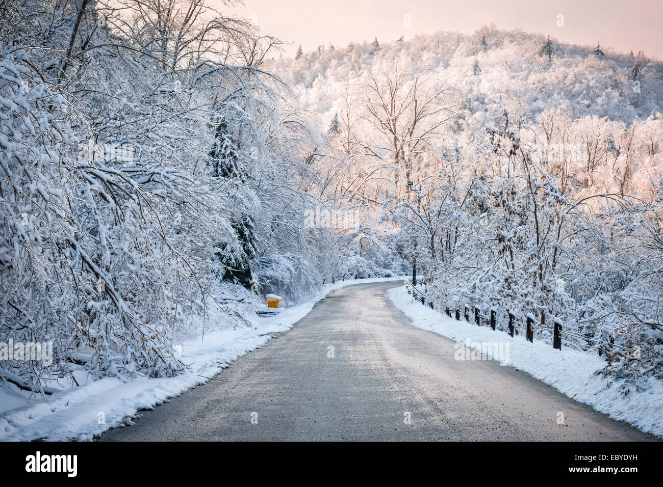 Scenic winter road through icy forest covered in snow after ice storm and snowfall. Ontario, Canada. Stock Photo